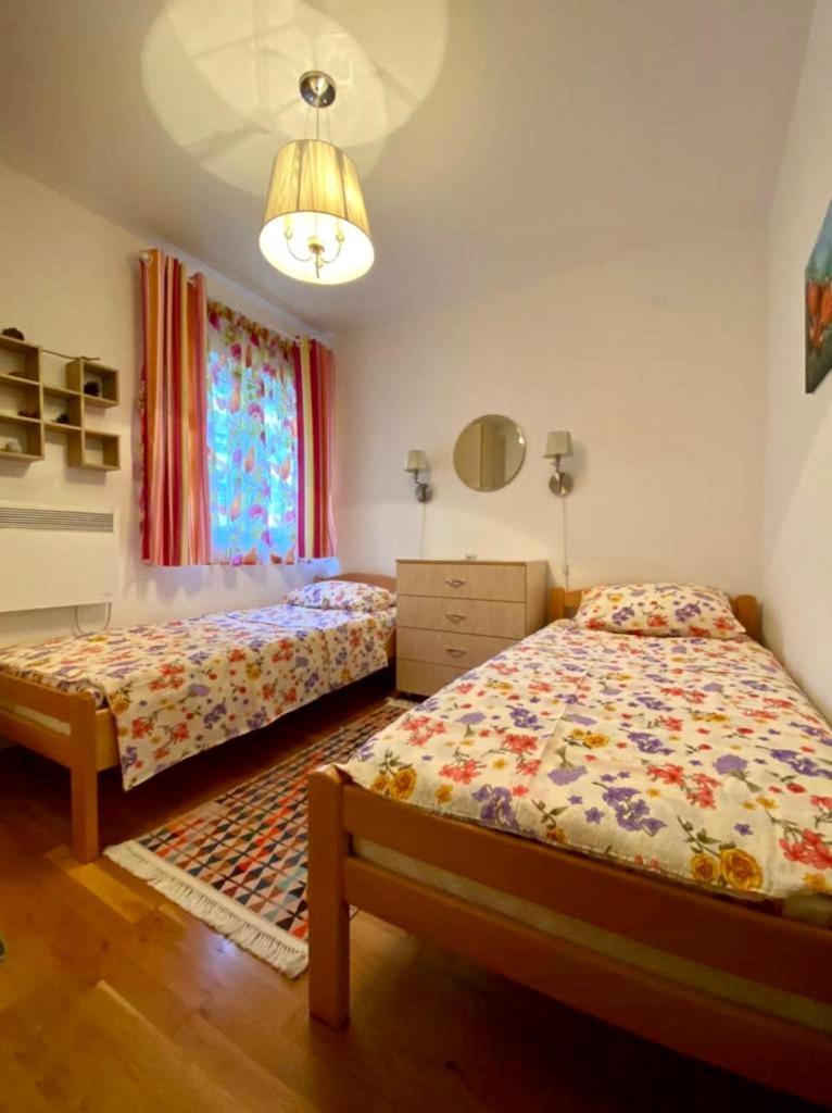 Apartment Liza Petrovac Luaran gambar