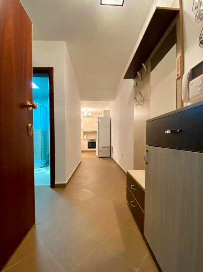 Apartment Liza Petrovac Luaran gambar