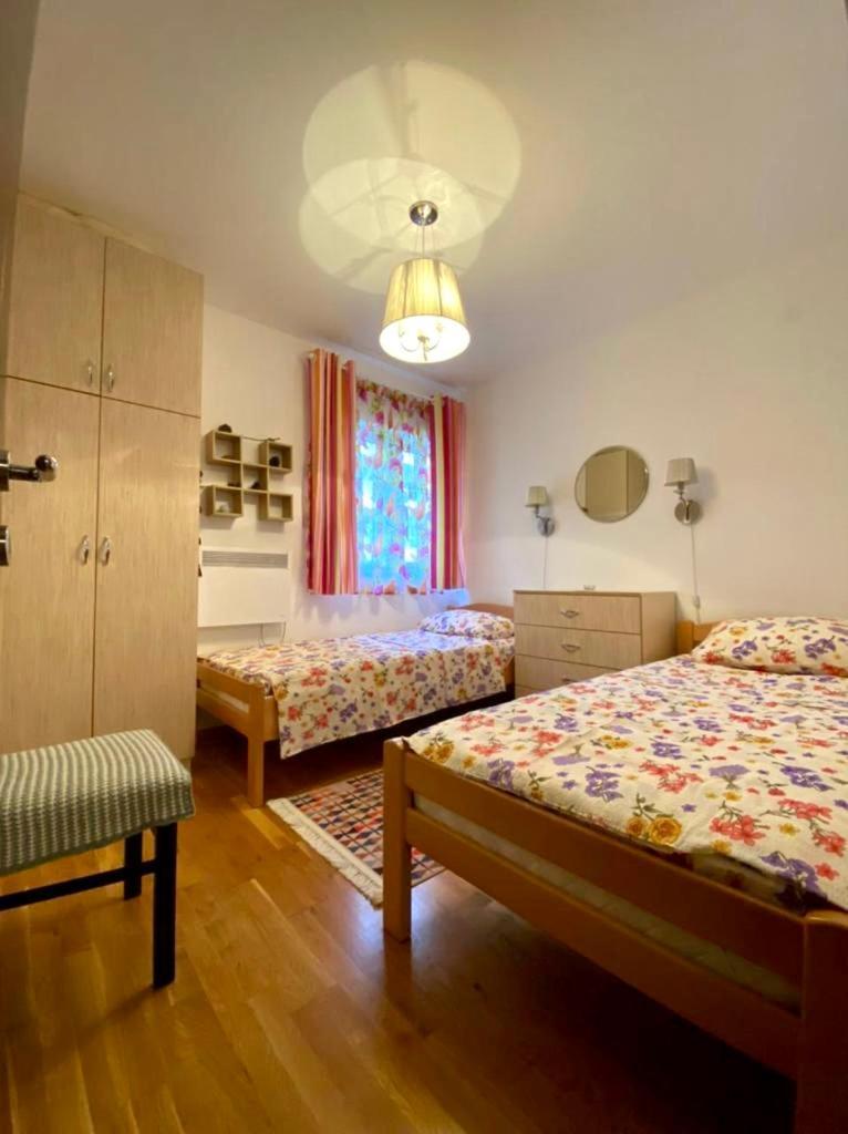Apartment Liza Petrovac Luaran gambar
